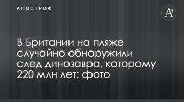 В Британии на пляже случайно обнаружили след динозавра, которому 220 млн лет: фото