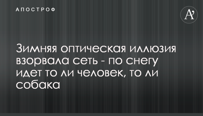 Зимова оптична ілюзія підірвала мережу - по снігу йде чи то людина, чи то собака