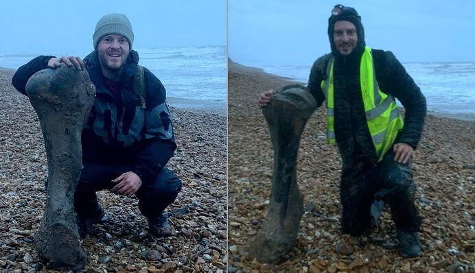 Мисливці за скам'янілостями знайшли останки тварини з іклами, що жила 125 тис. років тому: фото