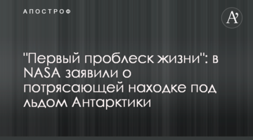 "Первый проблеск жизни": в NASA заявили о потрясающей находке под льдом Антарктики