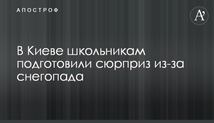 В Киеве школьникам подготовили сюрприз из-за снегопада
