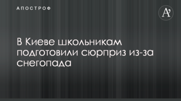 В Киеве школьникам подготовили сюрприз из-за снегопада