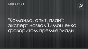 "Команда, опыт, план": эксперт назвал Тимошенко фаворитом премьериады