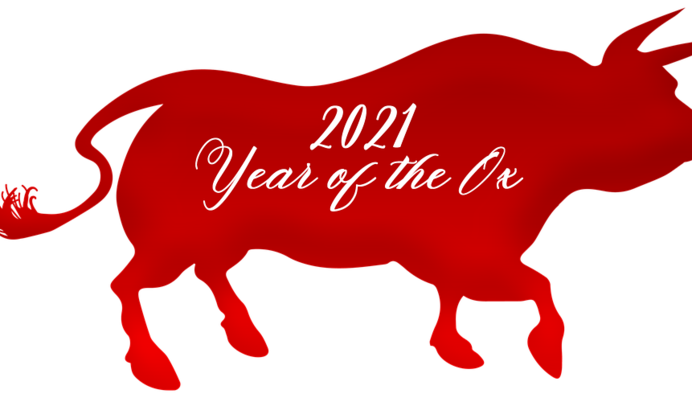 Как достичь счастья и успеха в год Быка: советы астрологов для всех знаков Зодиака