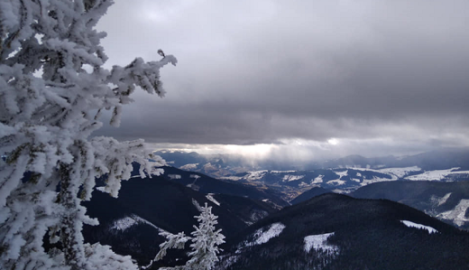 Сліпуча краса: в мережі показали казкові фото засніжених українських Карпат