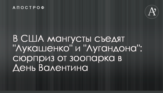 У США мангусти з'їдять 