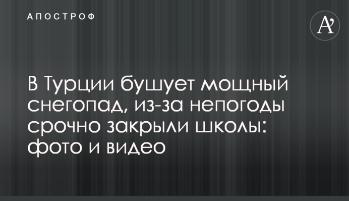В Турции бушует мощный снегопад, из-за непогоды срочно закрыли школы: фото и видео