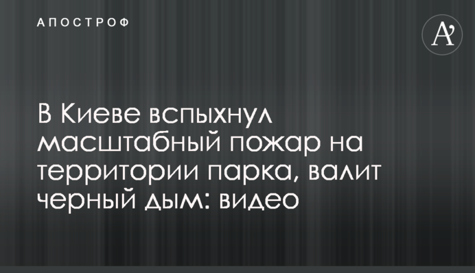 У Києві спалахнула масштабна пожежа на території парку, валить чорний дим: відео