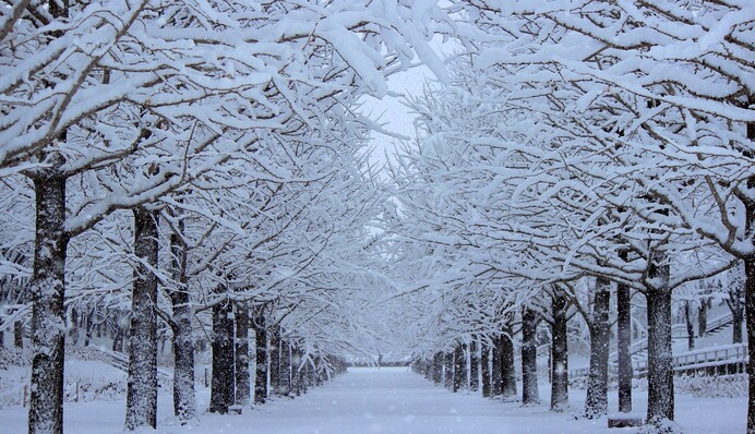 Засніжений Стамбул і обмерзлі Штати: погода лютувала по світу у вихідні