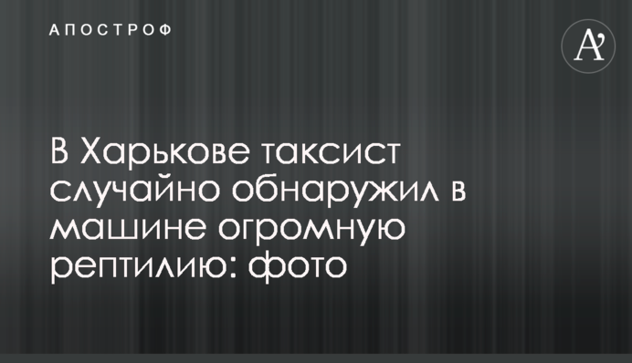 В Харькове таксист случайно обнаружил в машине огромную рептилию: фото
