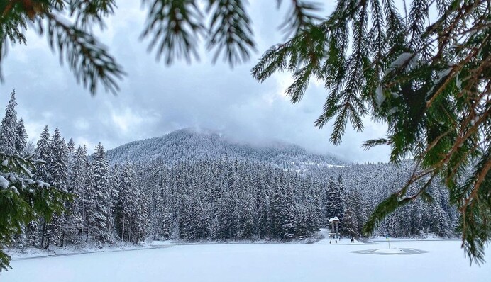 Зимове диво: з'явилися яскраві фото одного з найбільших озер України