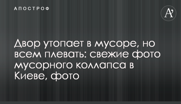Двір потопає в смітті, але всім начхати: свіжі фото сміттєвого колапсу в Києві, фото