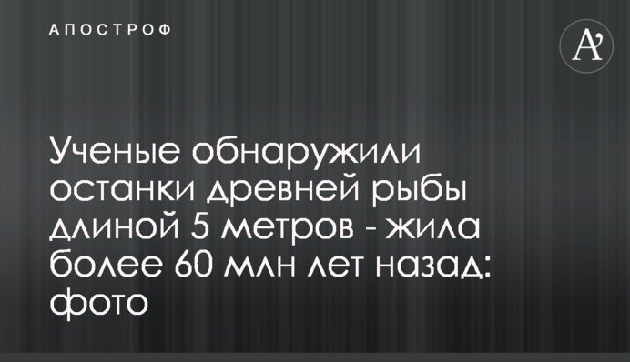 Ученые обнаружили останки древней рыбы длиной 5 метров - жила более 60 млн лет назад: фото