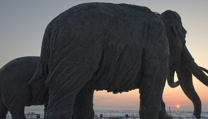 Вчені реконструювали геном мамонта віком мільйон років і знайшли причину його волохатості, фото