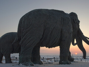 Ученые реконструировали геном мамонта возрастом миллион лет и нашли причину его лохматости, фото