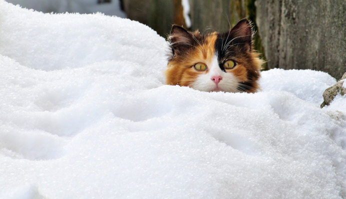 От минус 23 до плюс 9: в Украину идет существенное потепление