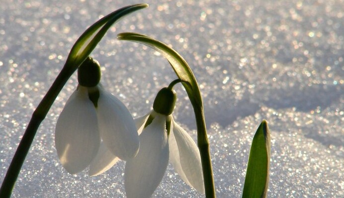 В Украину идет весенняя погода: детальный прогноз на выходные