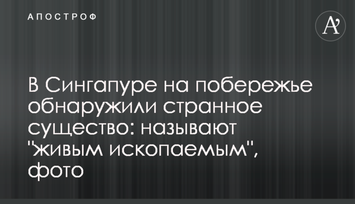 У Сінгапурі на узбережжі виявили дивну істоту: називають 