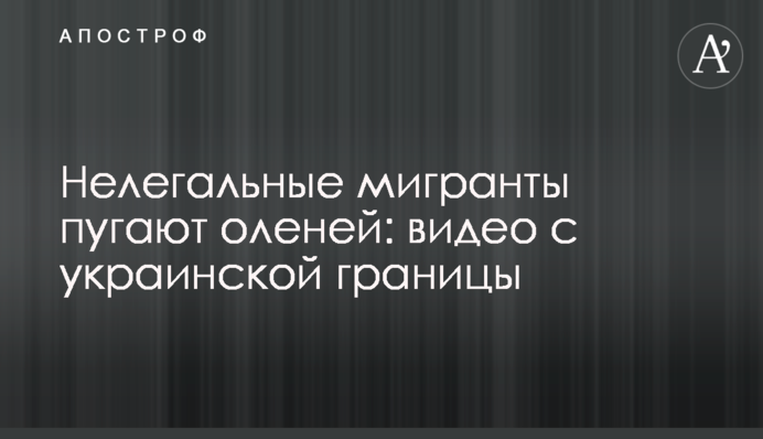 Нелегальные мигранты пугают оленей: видео с украинской границы
