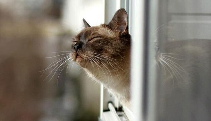 В Україну прийшло справжнє потепління: синоптики дали детальний прогноз на початок тижня