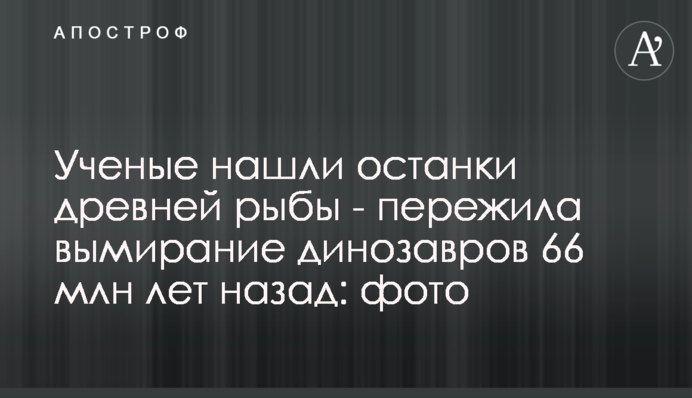 Ученые нашли останки древней рыбы - пережила вымирание динозавров 66 млн лет назад: фото