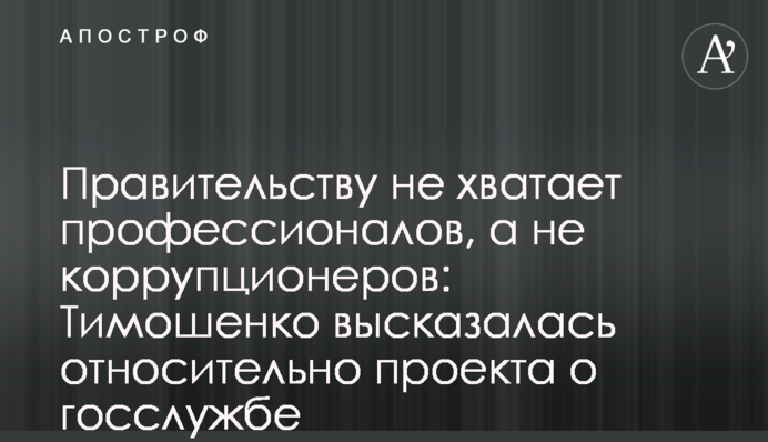 Правительству не хватает профессионалов, а не коррупционеров: Тимошенко высказалась относительно проекта о госслужбе
