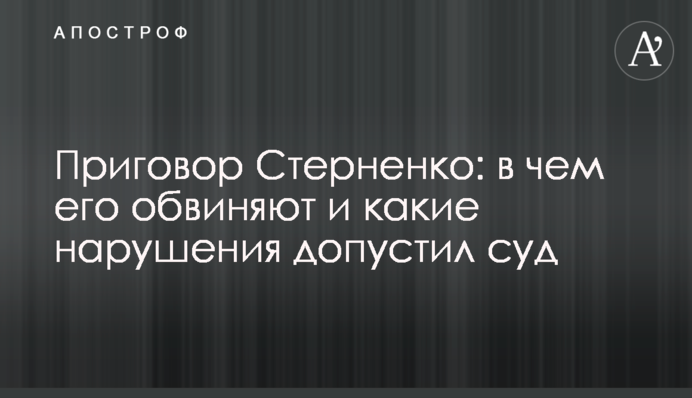 Вирок Стерненко: у чому його звинувачують і які порушення допустив суд