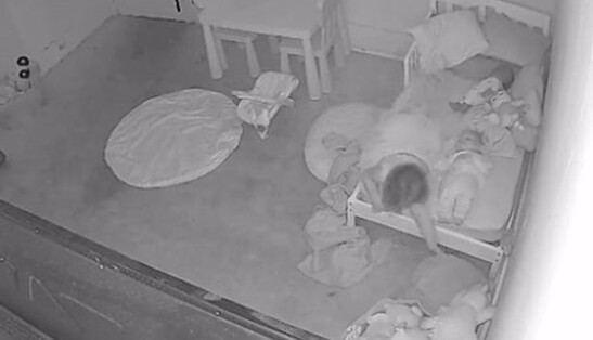 Хитом сети стало видео, как 