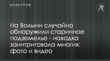 На Волыни случайно обнаружили старинное подземелье - находка заинтриговала многих: фото и видео