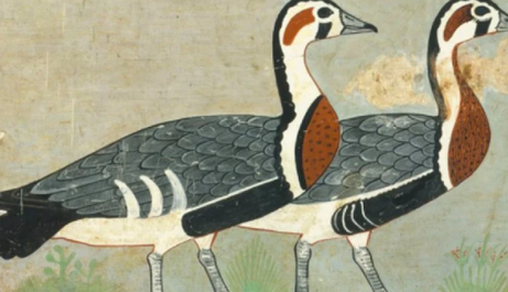 Вчені розгадали таємницю єгипетської фрески, якій 4,6 тис. років - навколо неї було багато суперечок: фото