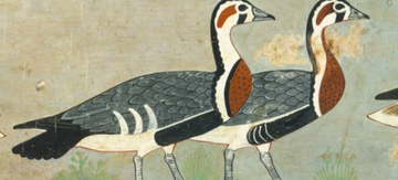 Ученые разгадали тайну египетской фрески, которой 4,6 тыс. лет - вокруг нее было много споров: фото