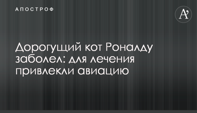 Дорогущий кіт Роналду захворів: для лікування залучили авіацію
