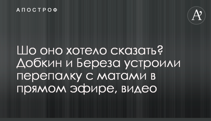 Шо воно хотіло сказати? Добкін і Береза влаштували перепалку з матами в прямому ефірі, відео