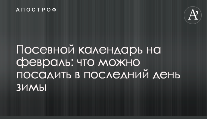 Посівний календар на лютий: що можна посадити в останній день зими