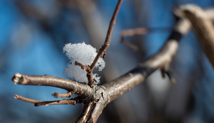 В Україну йде рекордне потепління: синоптики здивували прогнозом на вихідні