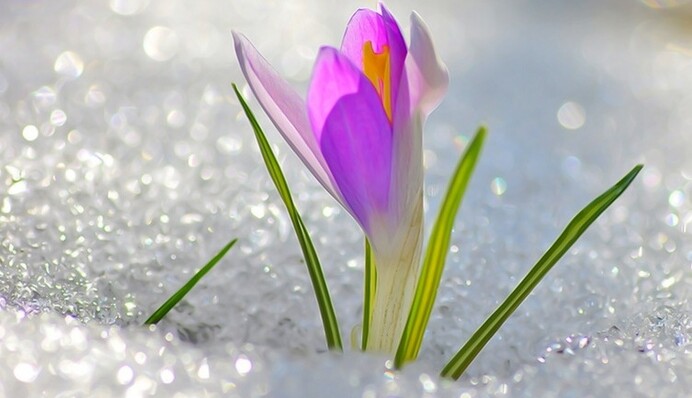 Перший день весни 2021: прикольні листівки і щиросердечні вітання