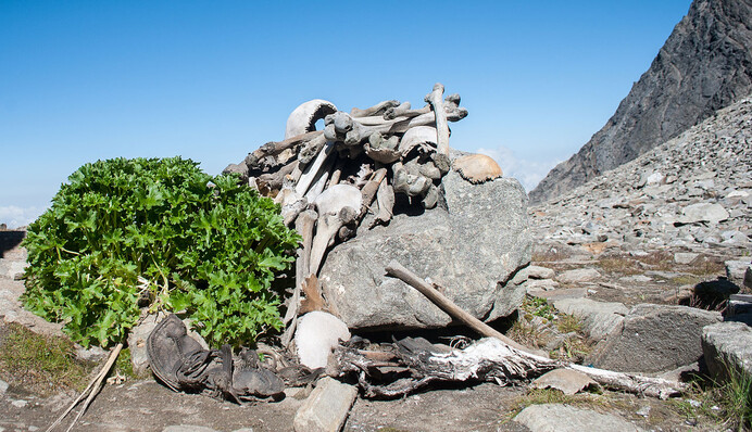 Вчені розгадали страшну таємницю стародавнього озера в Гімалаях - там знайшли останки сотень людей