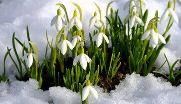 З першим днем весни! Короткі смс і кращі відеопривітання