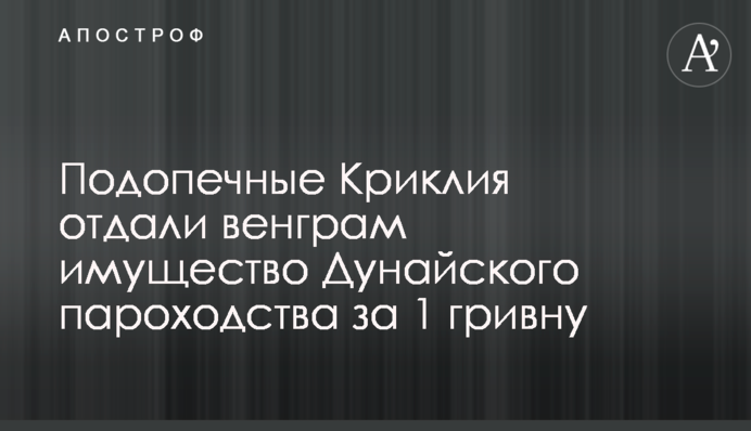 Підопічні Криклія віддали угорцям майно Дунайського пароплавства за 1 гривню - ЗМІ