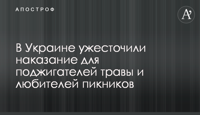 В Украине ужесточили наказание для поджигателей травы и любителей пикников