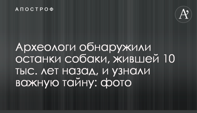 Археологи обнаружили останки собаки, жившей 10 тыс. лет назад, и узнали важную тайну: фото
