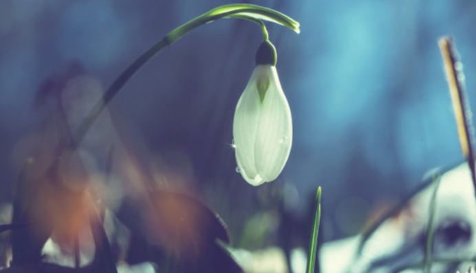 В Україні до 8 березня вдарять морози і піде сніг: синоптик попередив про серйозне похолодання