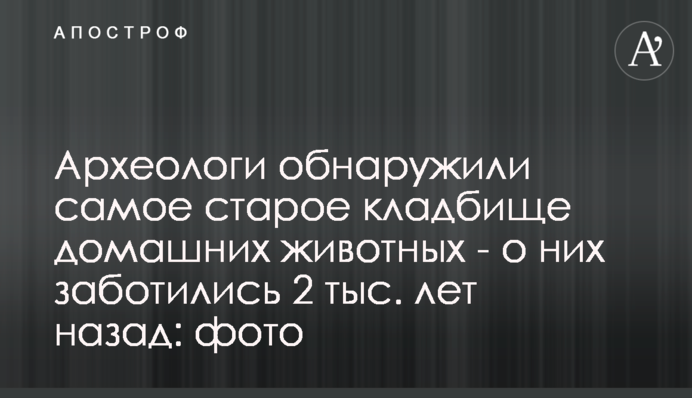 Археологи виявили найстаріше кладовище домашніх тварин - про них дбали 2 тис. років тому: фото