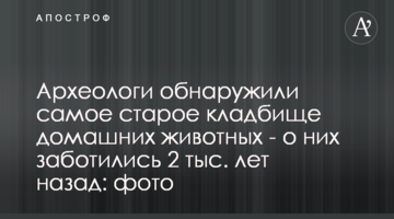 Археологи обнаружили самое старое кладбище домашних животных - о них заботились 2 тыс. лет назад: фото