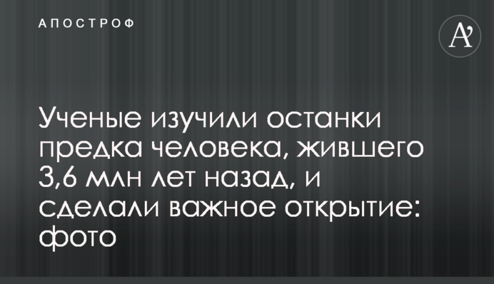 ​Ученые изучили останки предка человека, жившего 3,6 млн лет назад, и сделали важное открытие: фото