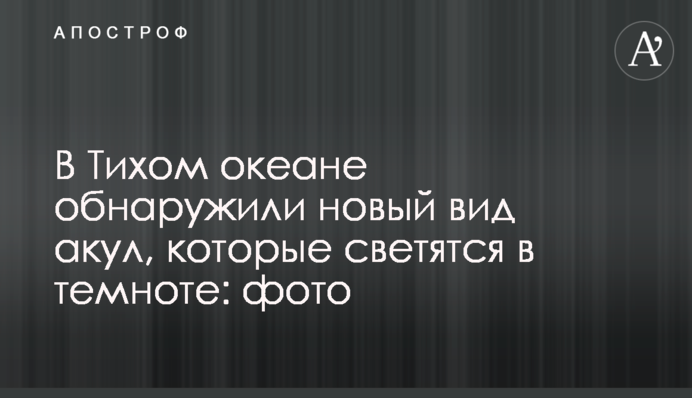 В Тихом океане обнаружили новые виды акул, которые светятся в темноте: фото