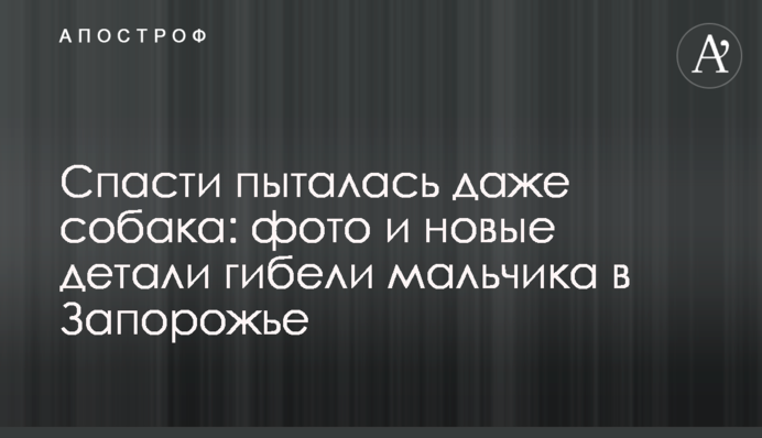 Врятувати намагалася навіть собака: фото і нові деталі загибелі хлопчика в Запоріжжі