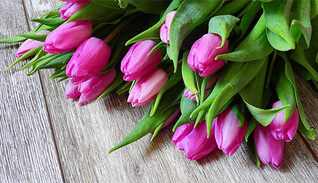 Международный женский день 2021: красивые открытки для учителей и воспитателей