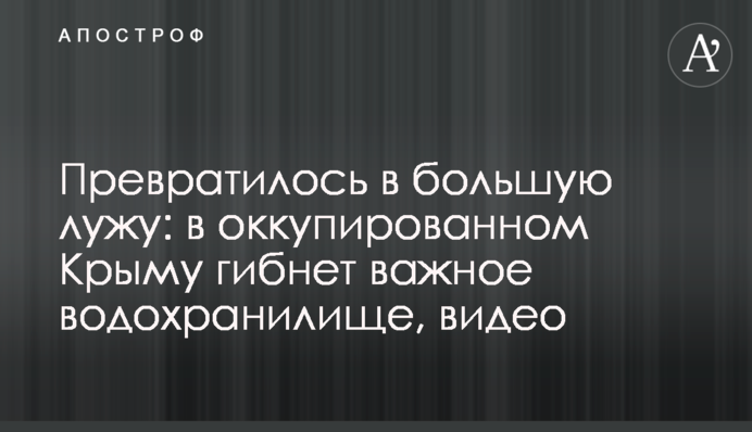 ​Превратилось в большую лужу: в оккупированном Крыму гибнет важное водохранилище, видео