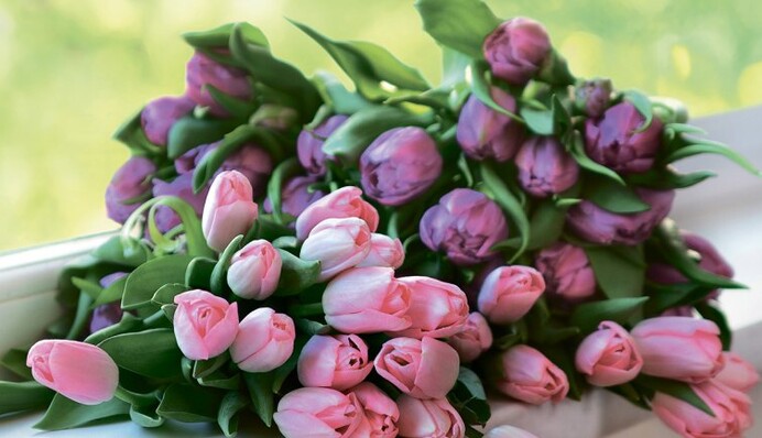 Кращі тости до 8 Березня для корпоративів і застілля з друзями